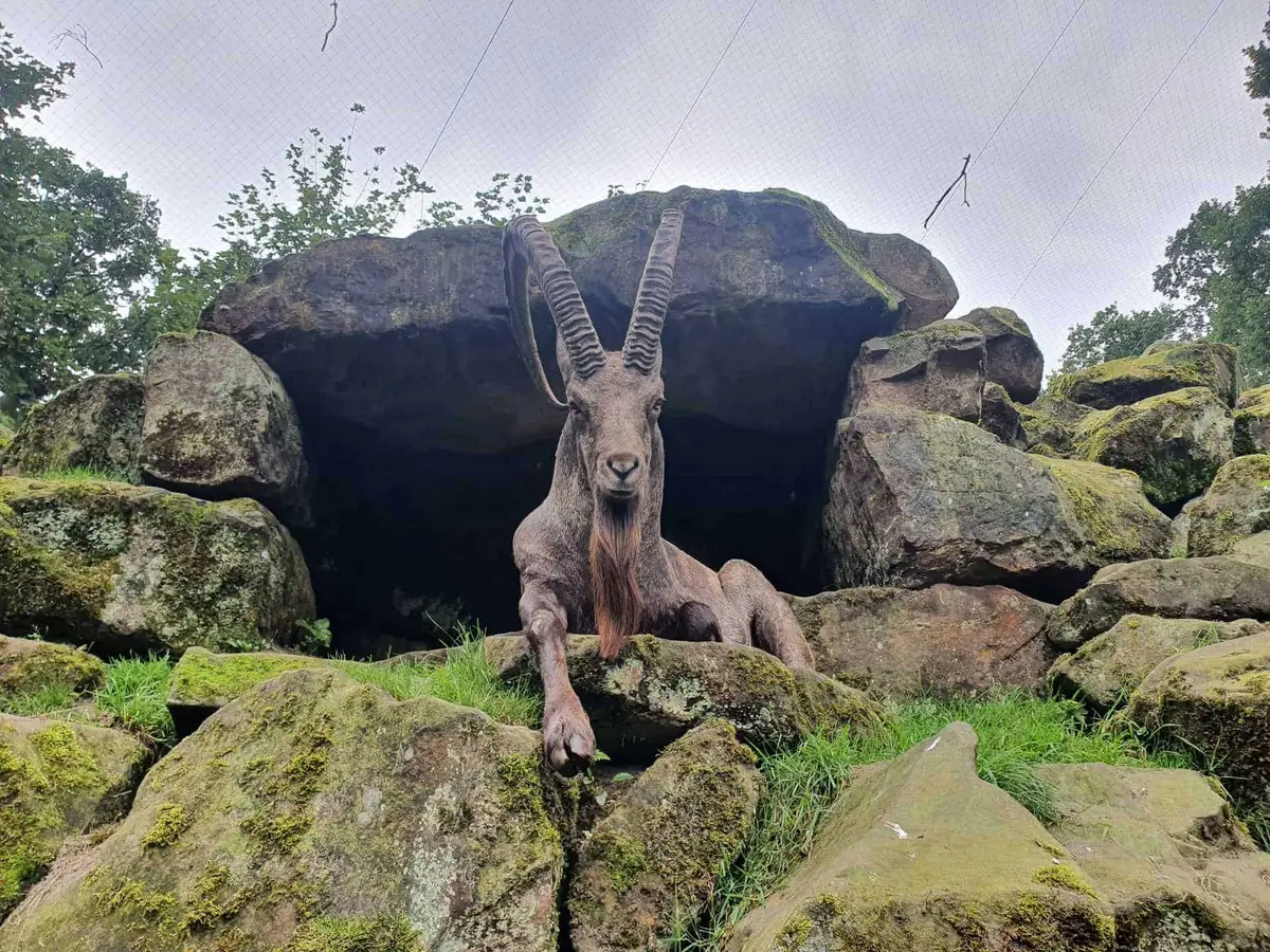 Tierpark Nordhorn