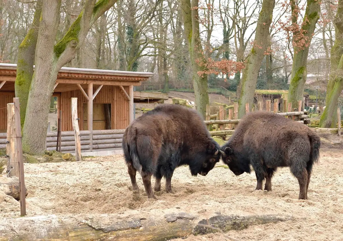 Tierpark Nordhorn