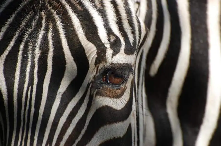 Tierpark Ströhen
