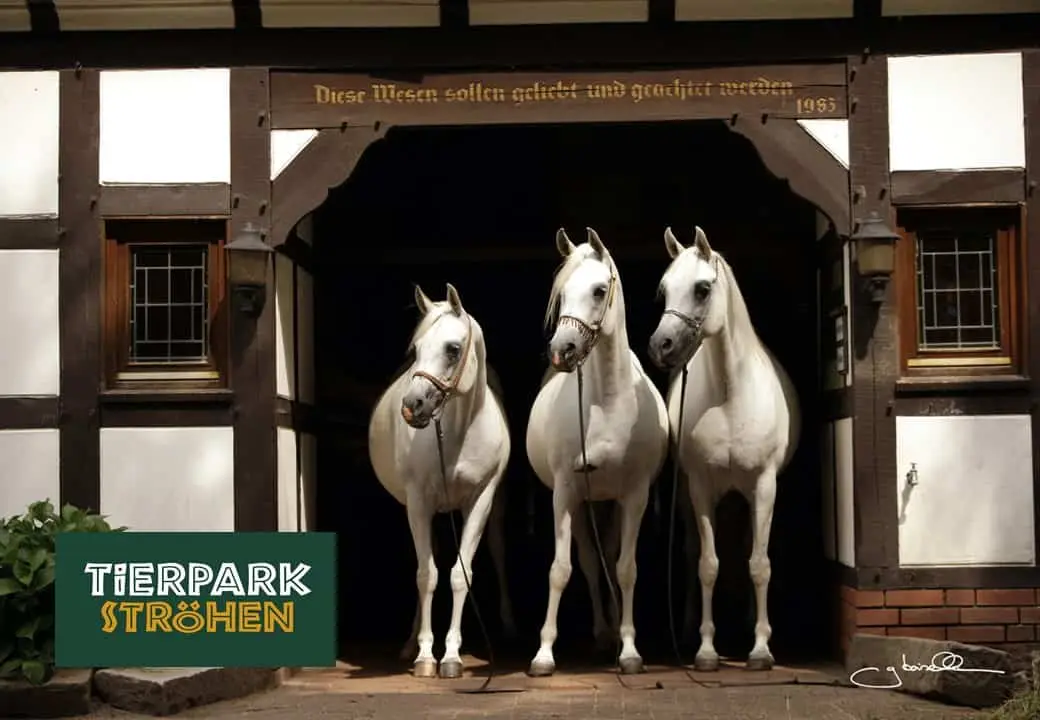 Tierpark Ströhen