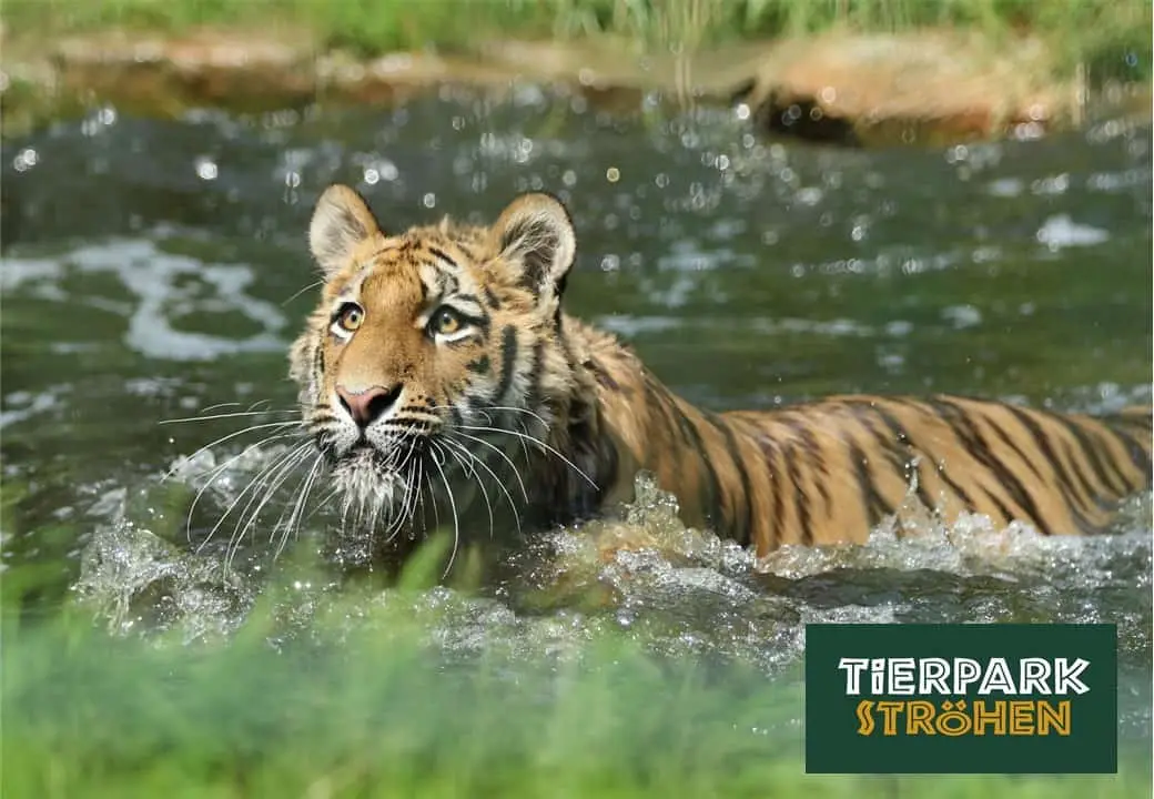 Tierpark Ströhen