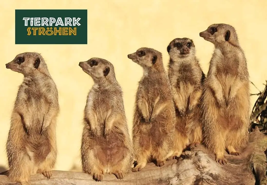 Tierpark Ströhen