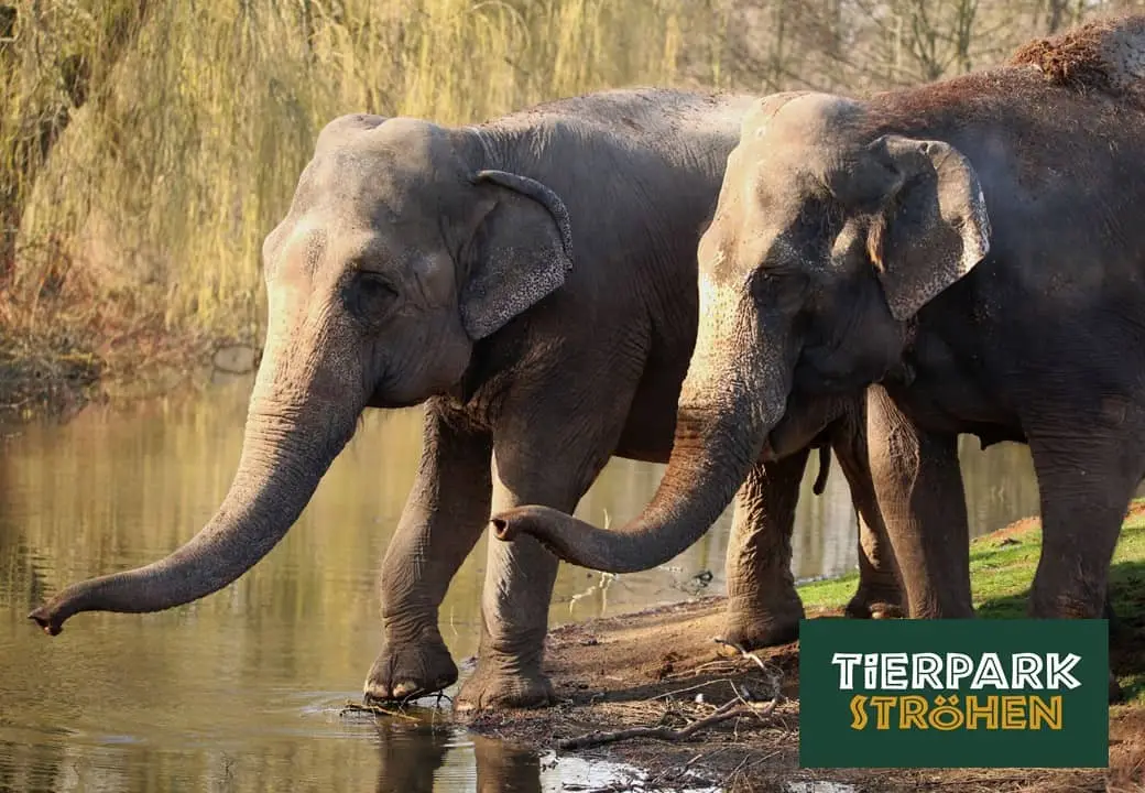 Tierpark Ströhen