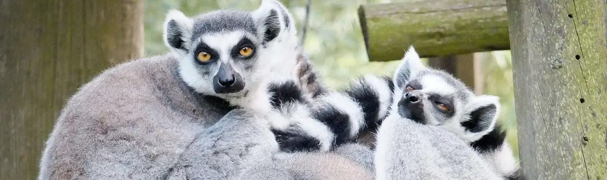 Tierpark Wismar