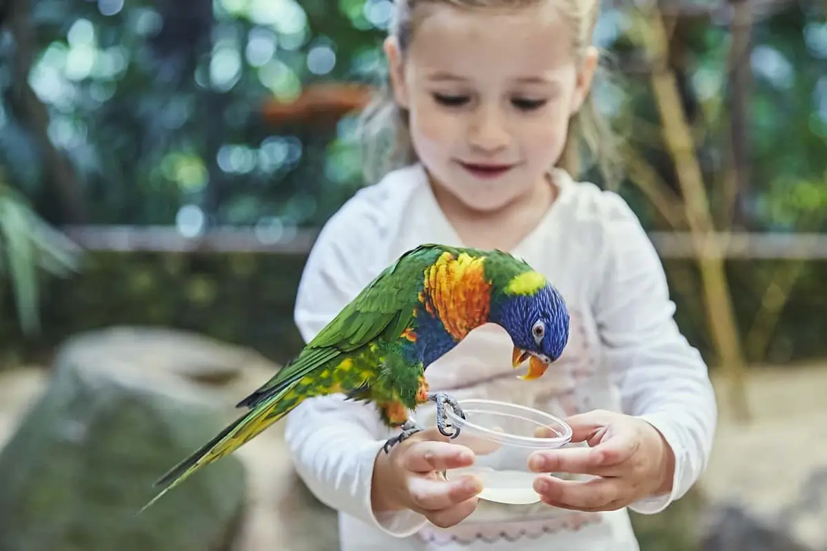 Weltvogelpark Walsrode