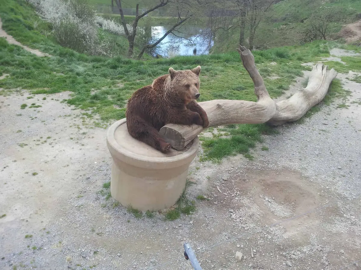 Der Wild-Freizeitpark-Westerwald