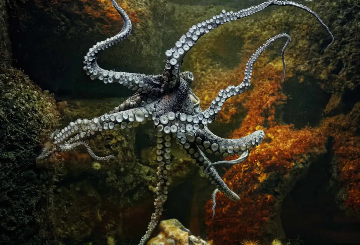 Zoo am Meer Bremerhaven