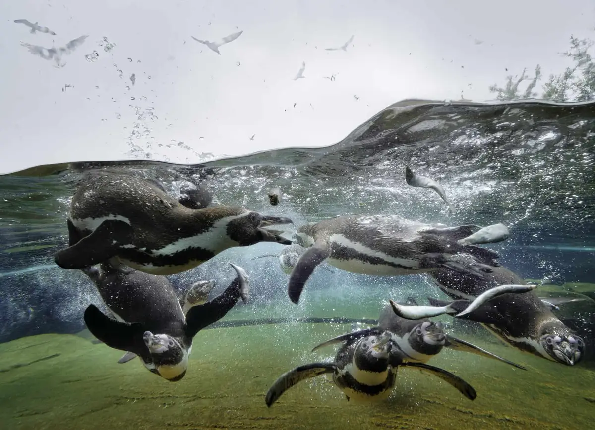 Zoo am Meer Bremerhaven