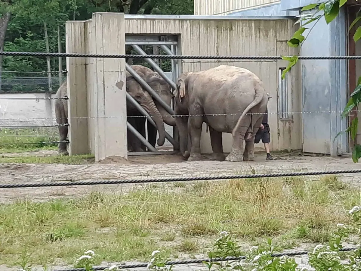 Zoo Augsburg