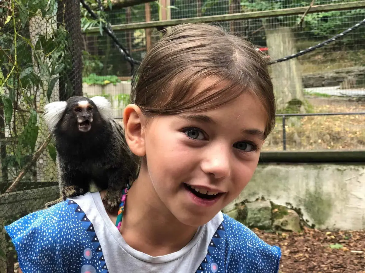 Zoo der Minis