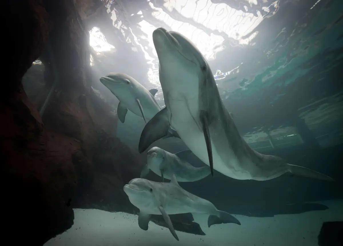 Zoo Duisburg