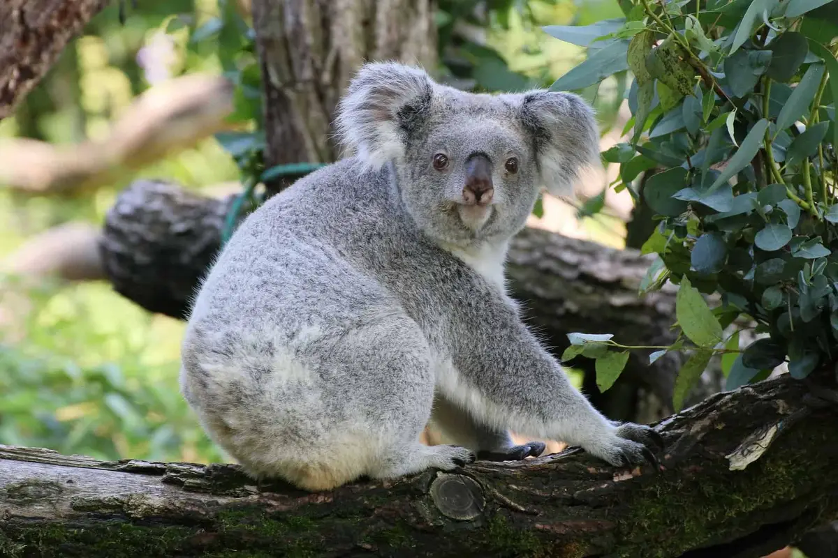 Zoo Duisburg