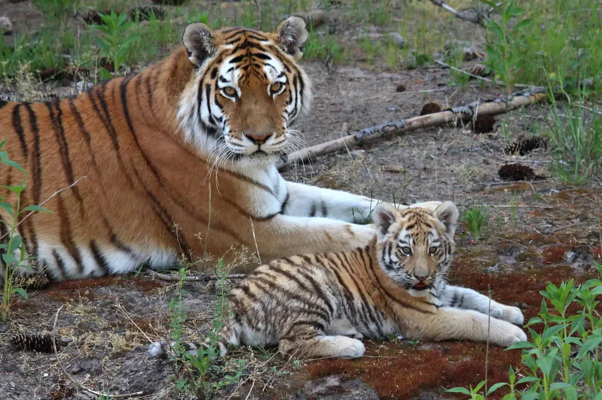 Zoo Eberswalde