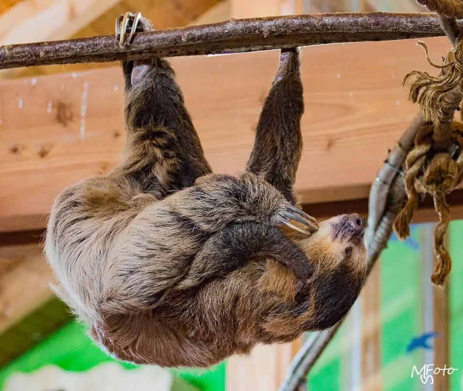 Zoo Kaiserslautern
