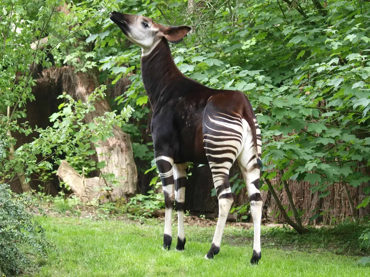 Zoo Leipzig