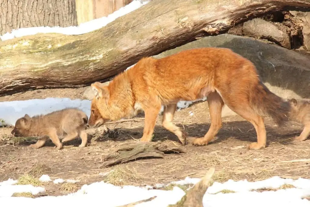 Zoo Magdeburg