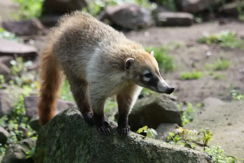 Zoo Magdeburg