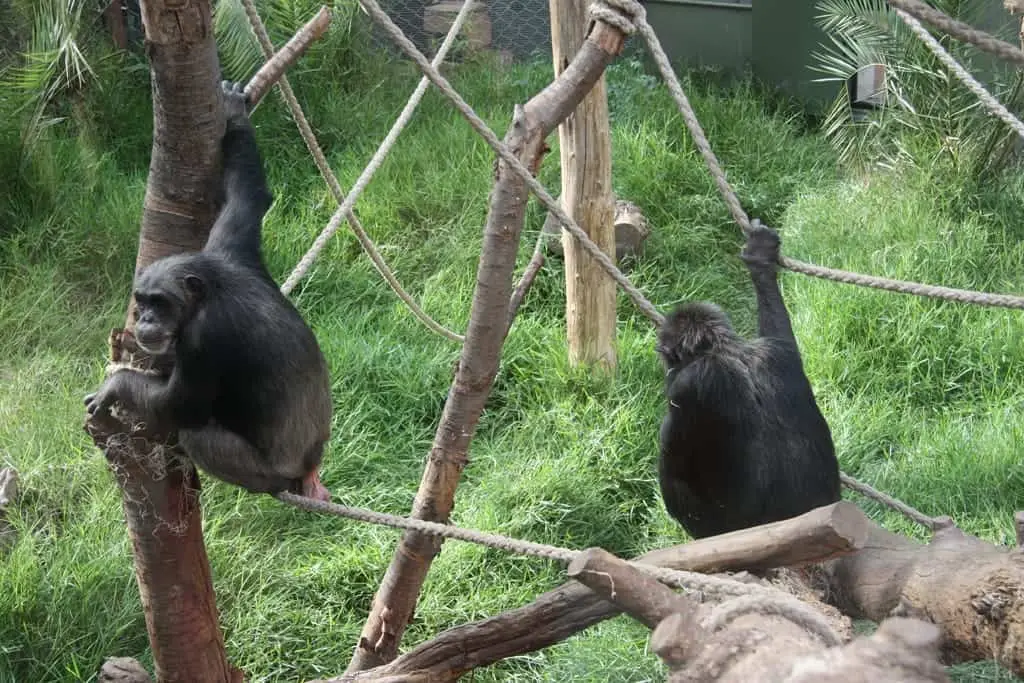 Zoo Magdeburg