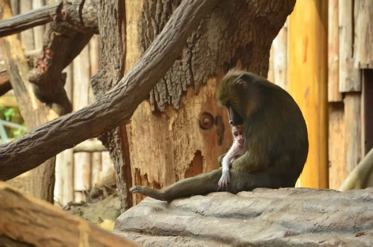 Zoo Magdeburg