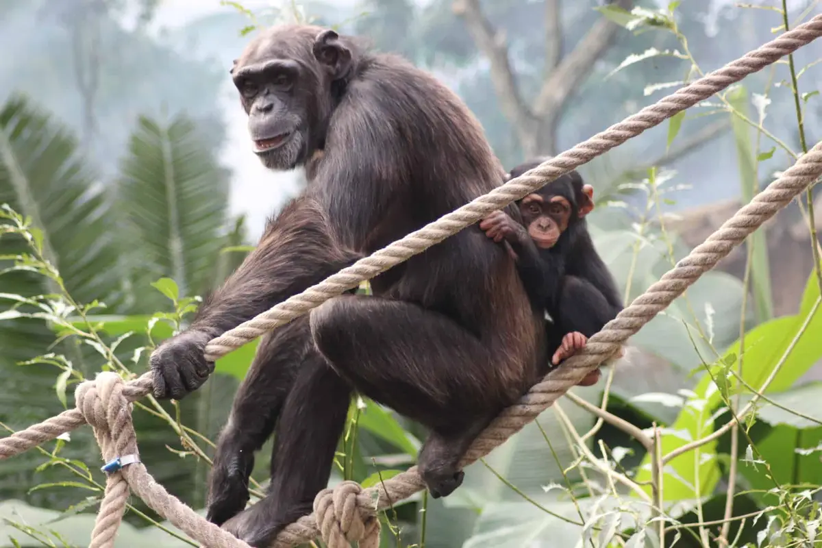 Zoo Osnabrück