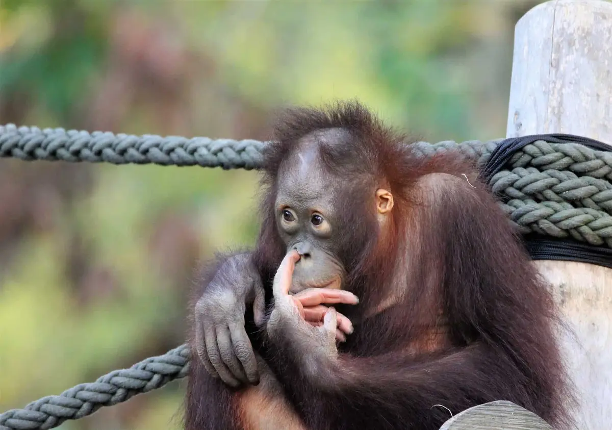 Zoo Rostock