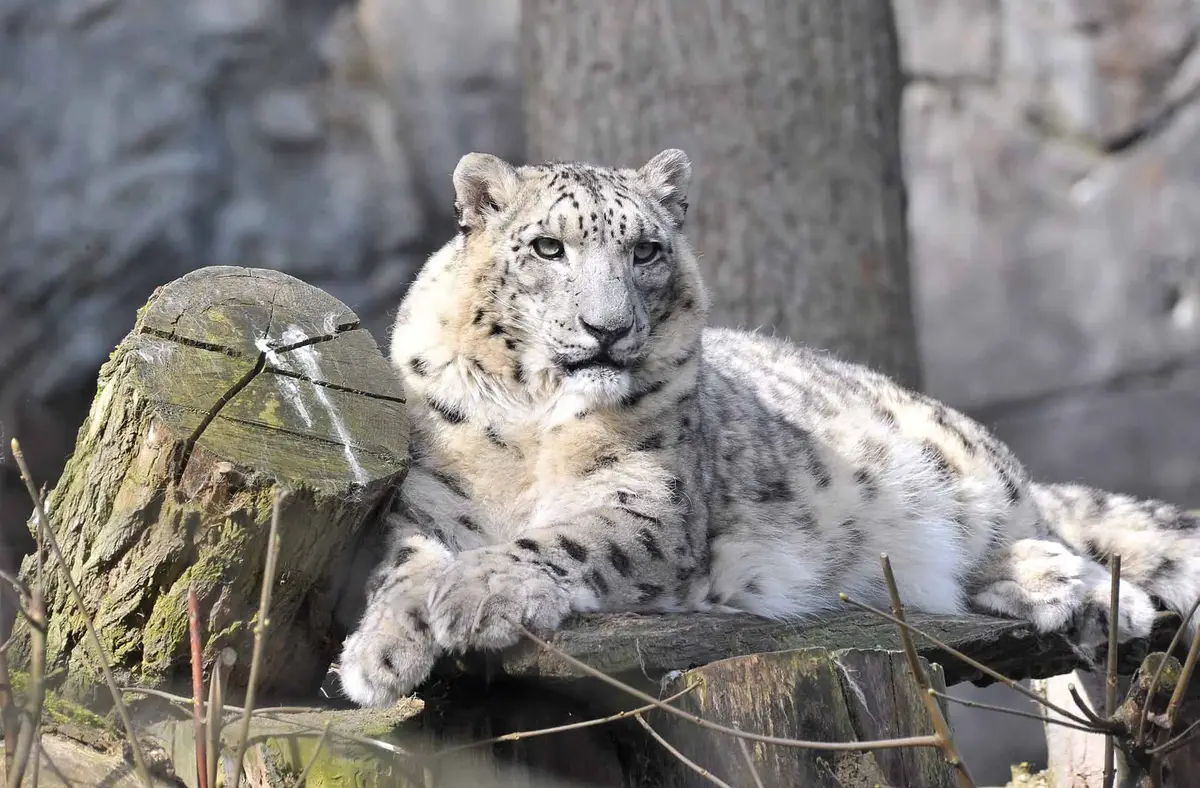 Zoo Rostock