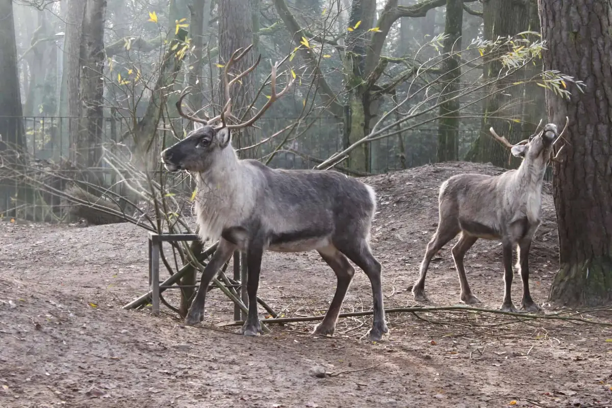 Zoo Rostock