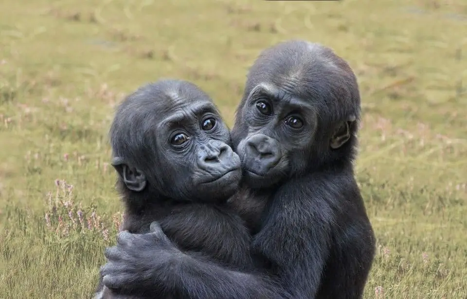 Zoo Rostock
