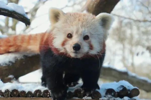 Zoo Saarbrücken