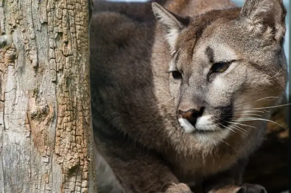 Zoo Saarbrücken