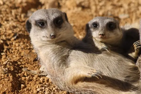 Zoo Saarbrücken