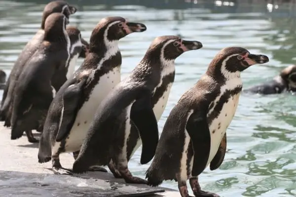 Zoo Saarbrücken