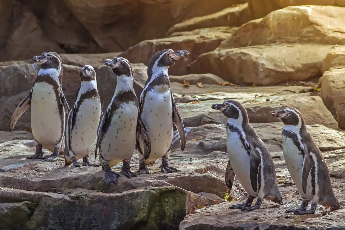 Zoologischer Garten Berlin
