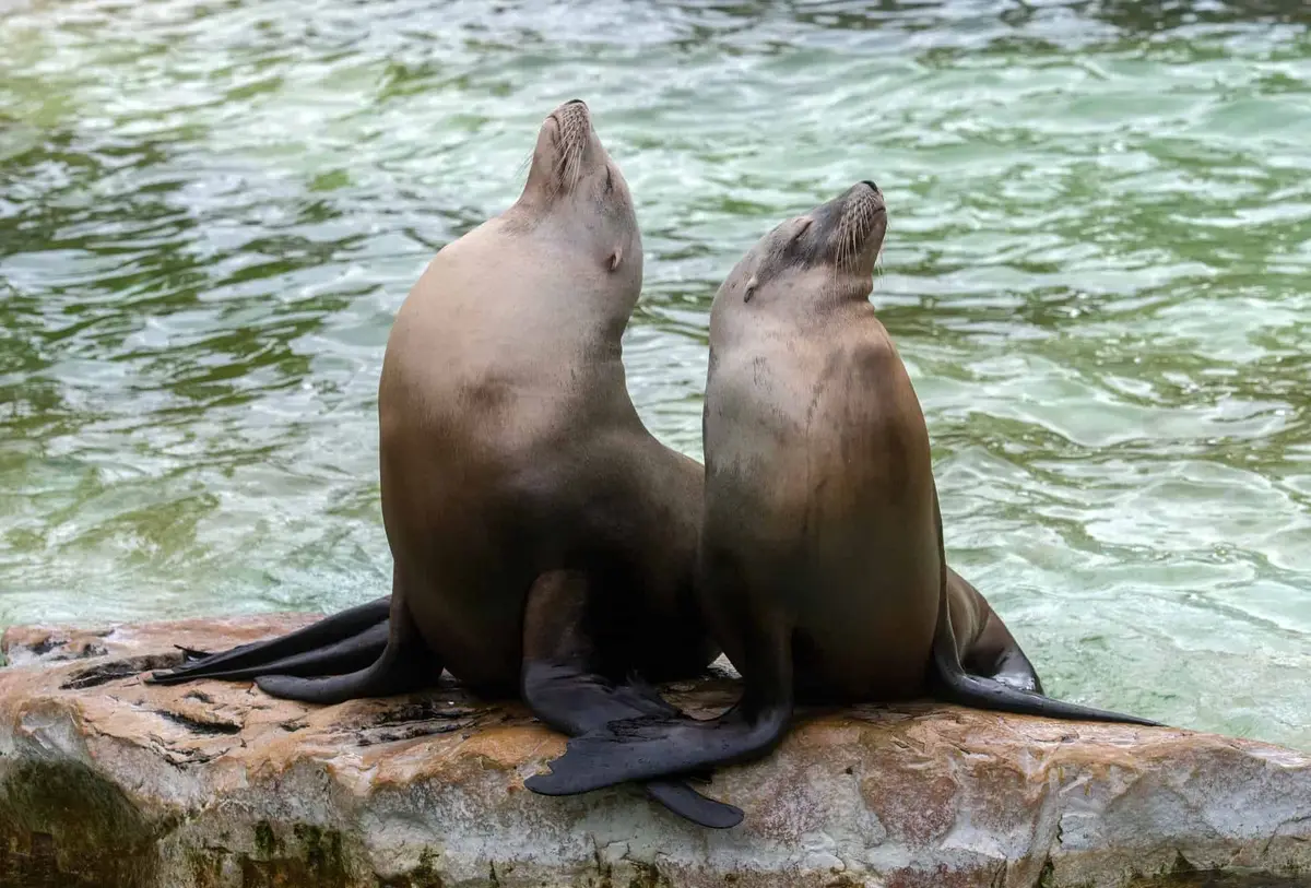 Zoologischer Garten Berlin