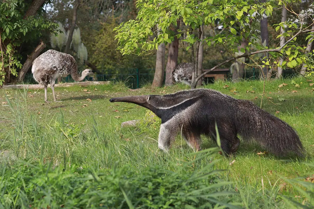 Zoologischer Garten Halle