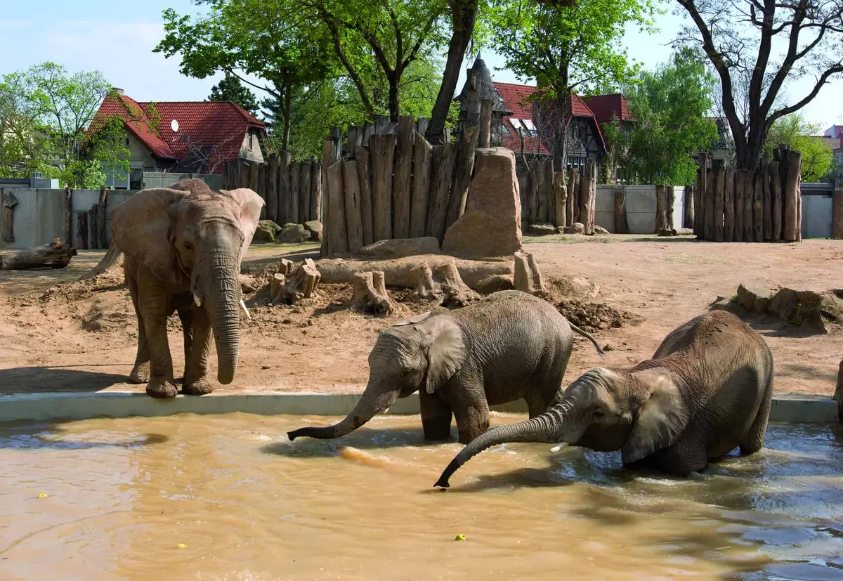 Zoologischer Garten Halle