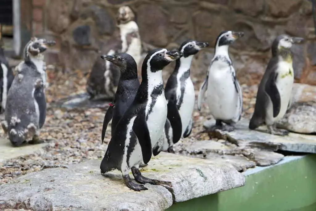 Zoologischer Garten Schwerin