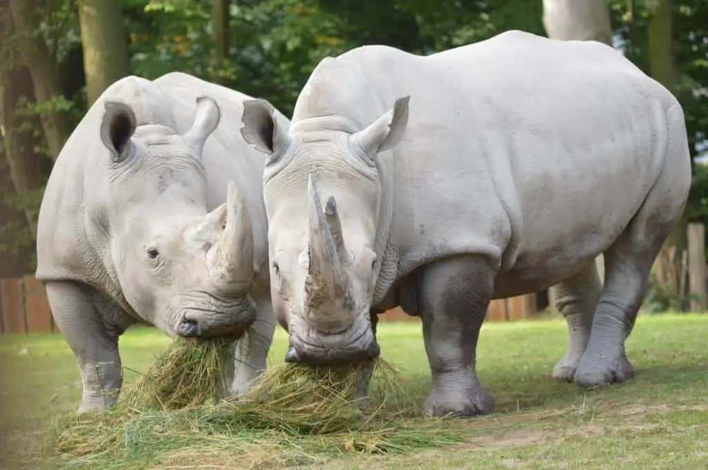 Zoologischer Garten Schwerin