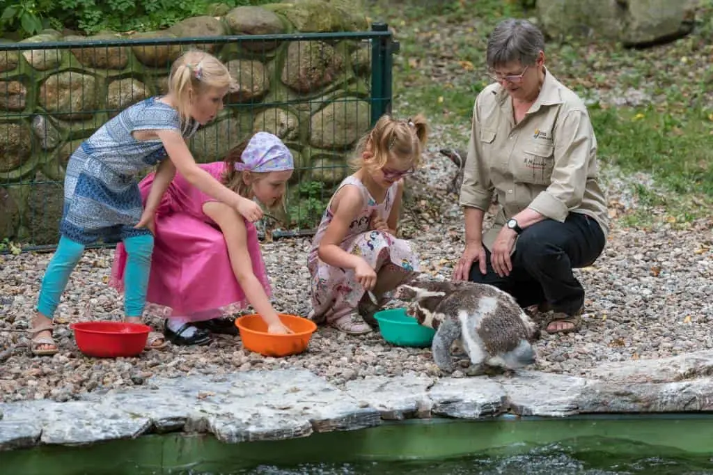 Zoologischer Garten Schwerin