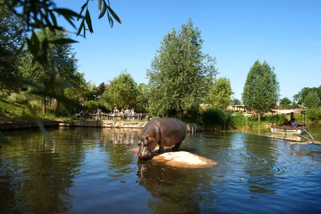 ZOOM Erlebniswelt