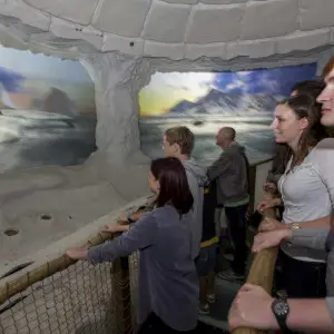 ZOOM Erlebniswelt