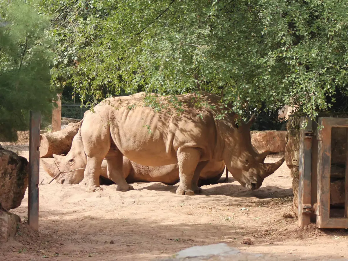Der Zoopark Erfurt