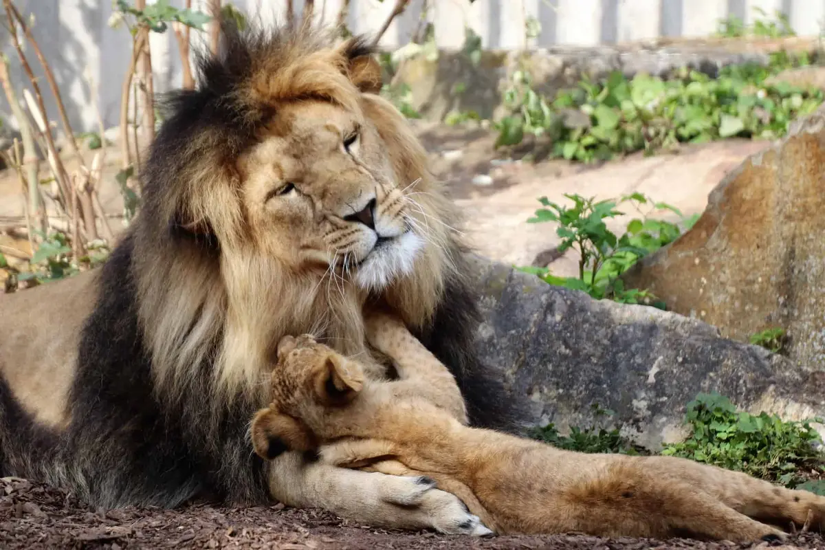 Thüringer Zoopark Erfurt